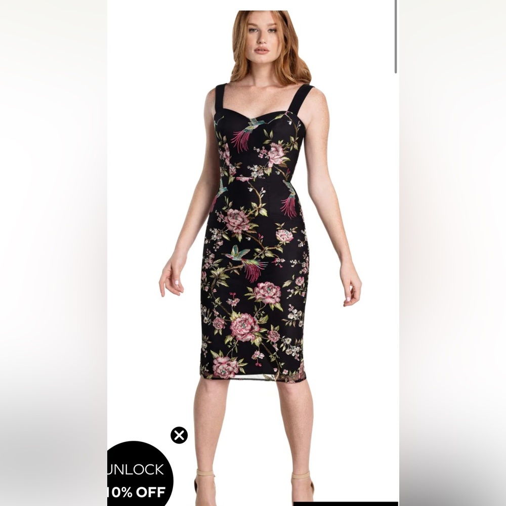 Dress the Population Nicole embroidered dress NWOT size XL